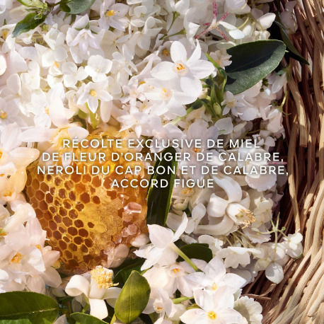GUERLAIN Aqua Allegoria Harvest - Nerolia Vétiver - Eau de